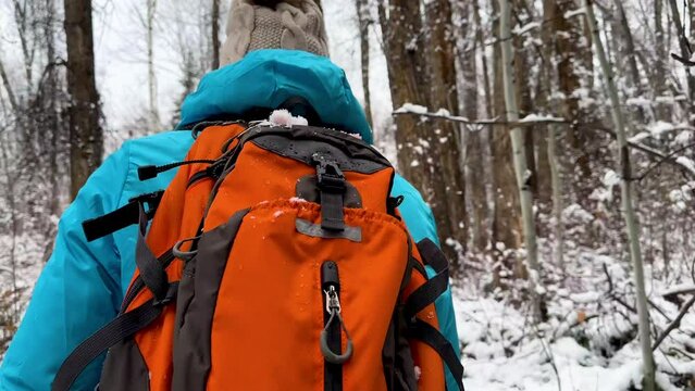 Winter female hiker backpacking in forest snowscape Aspen Colorado