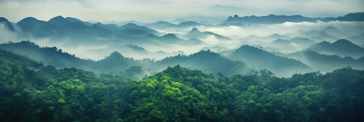 Panorama of lush green rain forest landscape with endless horizon and mist. Panoramic banner photography