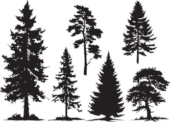 Obraz premium Set Christmas Trees. Hand drawn vector illustration