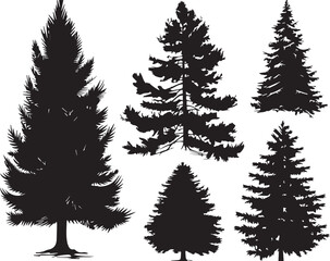 Obraz premium Set Christmas Trees. Hand drawn vector illustration