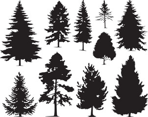 Obraz premium Set Christmas Trees. Hand drawn vector illustration