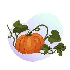 Orange pumpkin. Gardening. Farming. Harvesting. Autumn vegetables. Vector illustration isolated on white background.