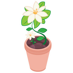 Isometric Lily Flower Pot