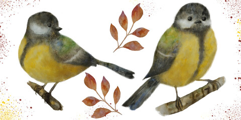 Hand drawn watercolor and pastel illustration of tits. Tiny titmouse birds isolated on white. © Ира Коркиайнен
