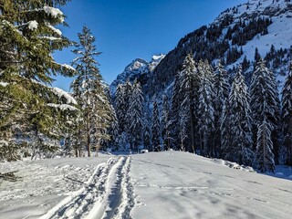 Fototapeta na wymiar Beautiful winter landscape with forest and mountains and sunshine near Richtisau Glarus. Tracks in the snow. High quality photo