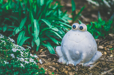 frog statue decoration in the garden - 721586202