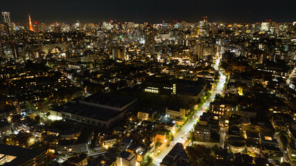 Naklejka premium Night flight of Tokyo, Japan