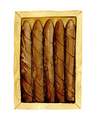 box with cigars painted in watercolor