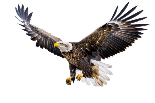 A stunning image capturing a bald eagle soaring through the air with its wings fully extended. Perfect for nature enthusiasts and patriotic themes