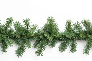 Obraz premium A branch of a Christmas tree isolated on a white background. Perfect for holiday designs and festive decorations