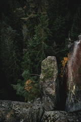 Blick in den Abgrund eines tschechischen Nationalparks an einem regnerischen Tag 