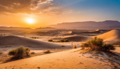 Fototapeta na wymiar sun sets over the sand dunes