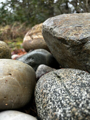 Fototapeta na wymiar stones in the forest