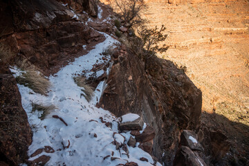 Shelf Trail Covered In Snow With Fresh Mountain Lion Prints