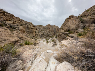 Strawhouse Wash Leads Into Narrow Canyon in Big Bend