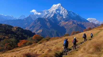 Fototapeta na wymiar people are trekking at Mardi Himal, Himalaya area on their trip. 