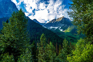 Roadside HWY 1 Glacier National Park British Columbia Canada