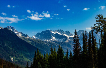 Roadside HWY 1 Glacier National Park British Columbia Canada