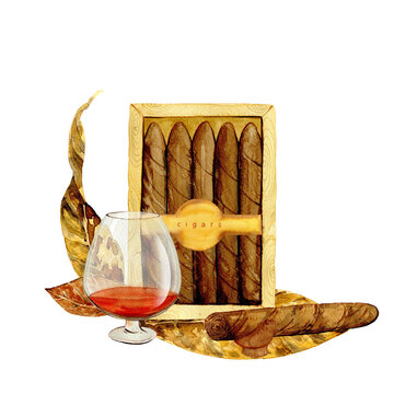 recommend clip art: cigars and cognac with tobacco leaves drawn in watercolor, posters, menus, clipart