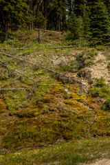 Water flows from the mountains to the Kootenay River Banff Windermer HWY Kootenay National Park British Columbia Canada