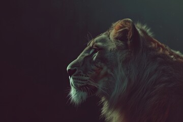 Side profile of a majestic lion in a dark ambiance, symbolizing strength and royalty in the animal kingdom.

