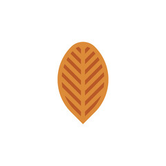 dried tobacco leaf logo vector icon clipart design