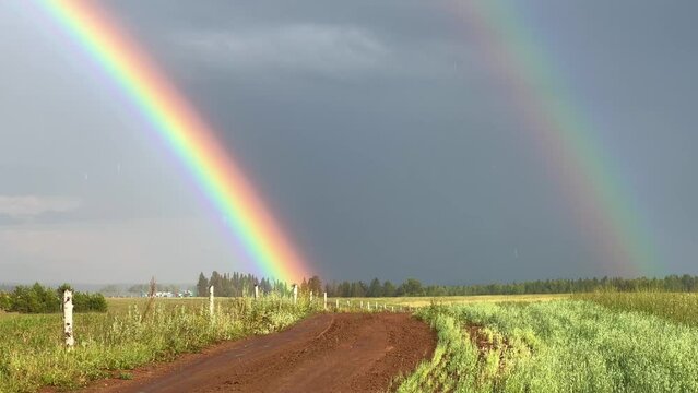 A double rainbow on a rainy spring day. A multicolored rainbow over a floral green field in the Perm Region. A rainbow against a cloudy sky.