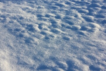 texture of snow in the sun, uneven with bumps and shadows from them. rough loose snow in the sun plane. 