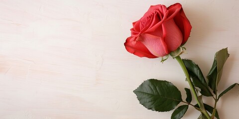 Delicate Rose Flatlay Composition with Light Wood Backdrop and Copy Space
