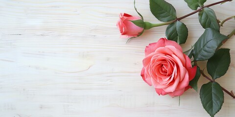Romantic Rose Flatlay with Blank Space on Light Wooden Background for Elegant Designs and Invitations