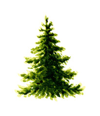 Watercolor illustration of a lush green spruce. Forest plant element from spruce or pine. Christmas tree object isolated on white background. Evergreen natural Christmas tree for decorating a garden, 