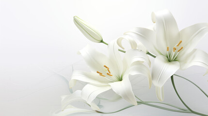 bouquet of lilies background, lilies backdrop 