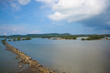 The salt pans of Jan Kok, also known as the Flamingo Sanctuary Sint Willibrordus.
American flamingo (Phoenicopterus ruber) foraging in salt flats of Sint Willibrordus, Curaçao. 
