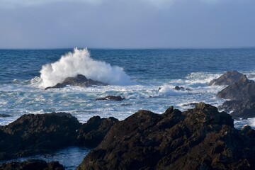 Uclulet Canada Storm watching trip
