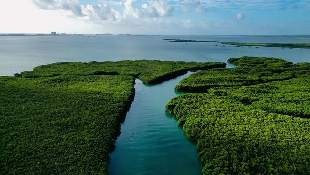 Laguna de Nichupte y Mar del Caribe en cancún conectador por un rio cubierto de manglar