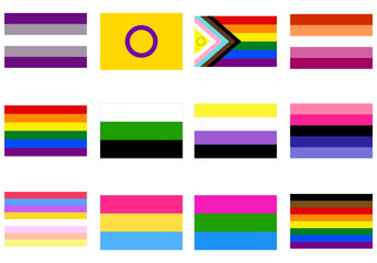 LGBT Pride flag set. Pride community flag. 