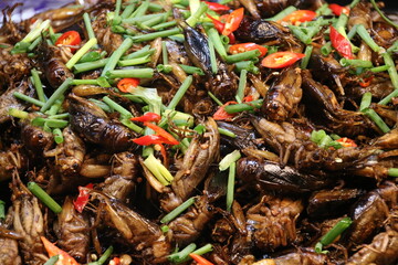Street Food in Cambodia: Crickets on a Market Stall (Siem Reap)