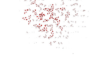 Light Red vector background with abstract forms.