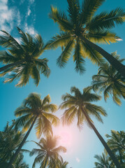 Fototapeta na wymiar Upward View of Palm Trees Canopy with Sunlight Against a Clear Blue Sky