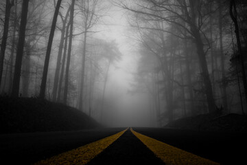 Color pop on the double yellow lines of a dark street, leading into the foggy and mysterious unknown.