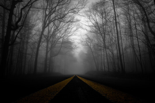 Color pop on the double yellow lines of a road, leading into the foggy and mysterious unknown.