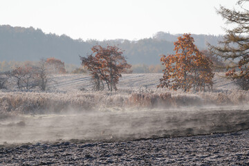 Mist rising off recently ploughed fields on frosty october morning