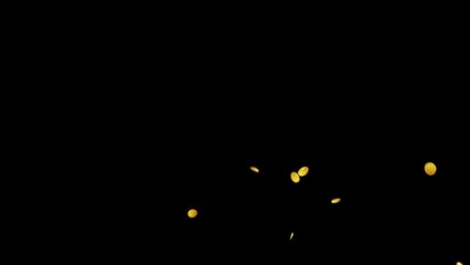 Coins currency spinning against a black background and green screen.
