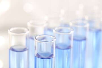 Laboratory analysis. Many glass test tubes with light blue liquid on blurred background, closeup