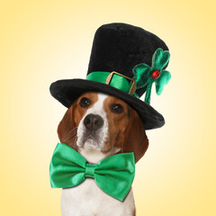 St. Patrick's day celebration. Cute Beagle dog with green bow tie and leprechaun hat on yellow...