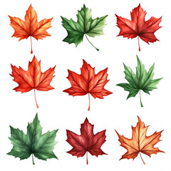 Fototapeta premium set of autumn leaves, Isolated maple leaves on white