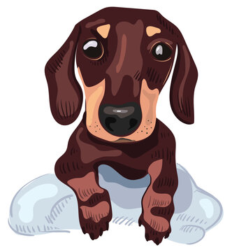 Line art of cute dachshund puppy paws for print design. Vector illustration of a dog in a blanket. Pet image for congratulations, cards, t-shirts, bags.