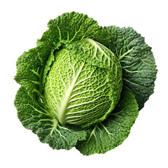 Savoy cabbage isolated on transparent or white background