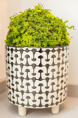Plant Decor black and white Vase