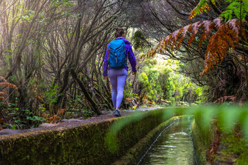 Female tourist with backpack walks along a large water channel overgrown with trees and bushes. 25 Fontes Waterfalls, Madeira Island, Portugal, Europe.